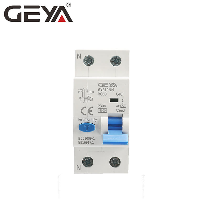 GEYA GYR10NM Magnetic RCBO C65 2Pole 63A 30mA 100mA 300mA Factory Supply Earth Leakage Breaker with Overcurrent Protection